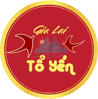 Tổ Yến Gia Lai